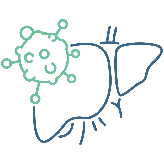 Liver Cancer Icon